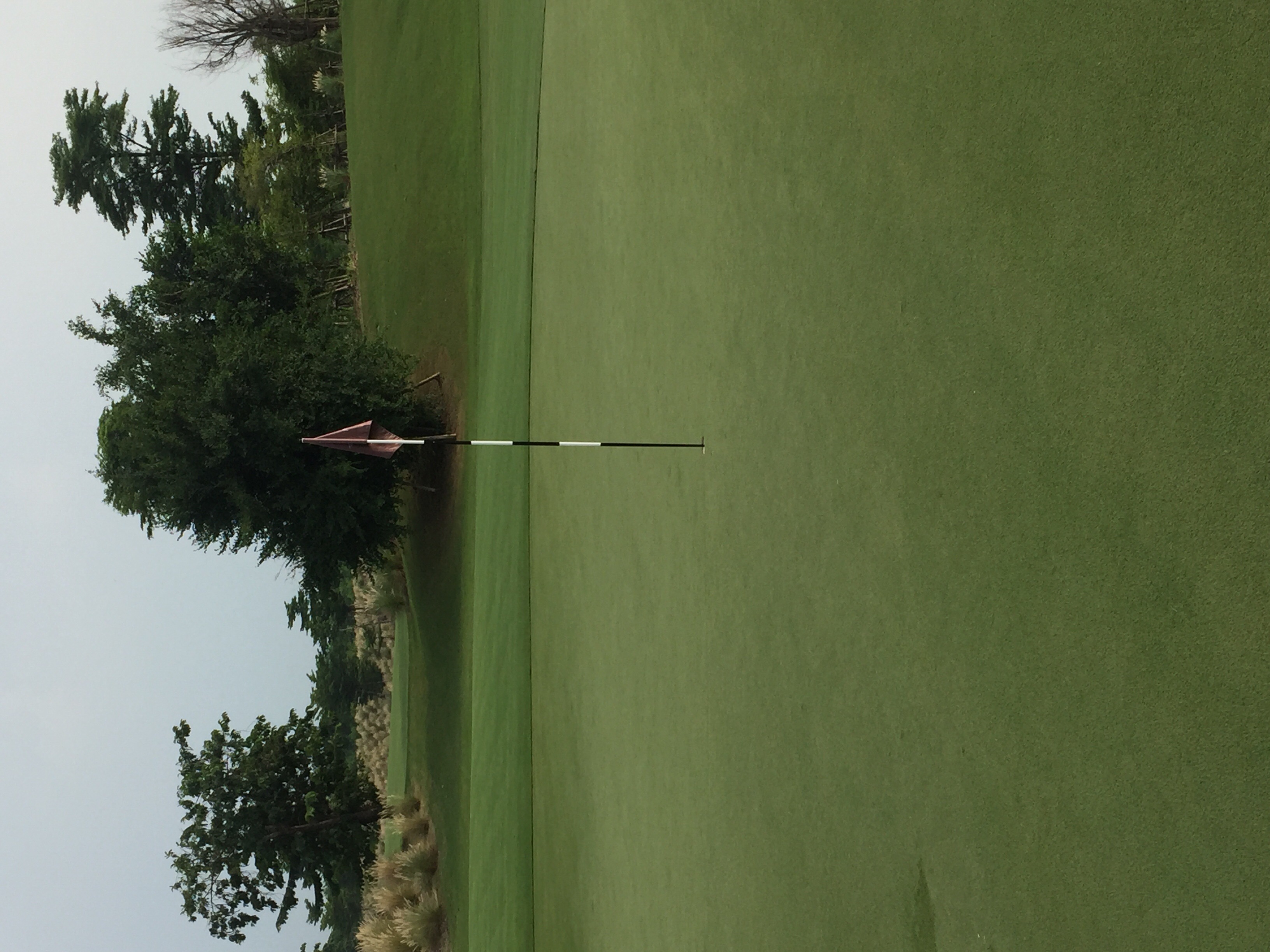 The 8th green at Nikanti Golf Club 2016